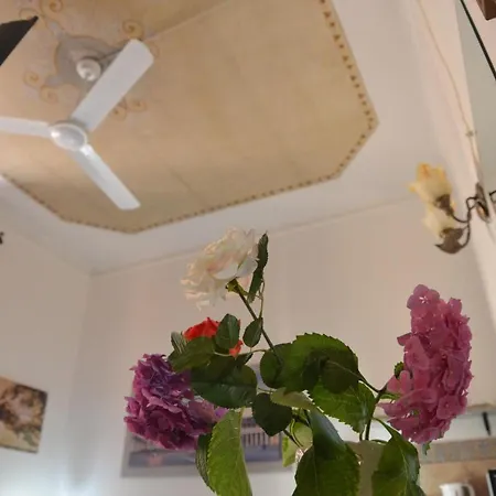 Maison d'hôtes Sogno Infinito